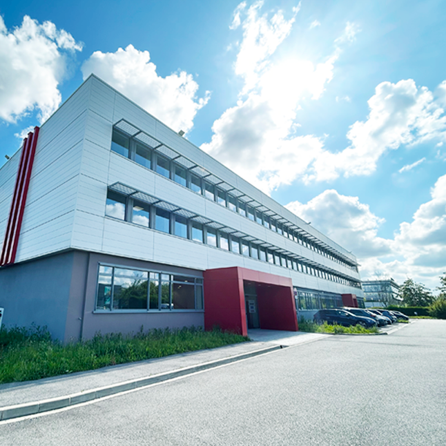 Elacinfrancesas FR 646X646